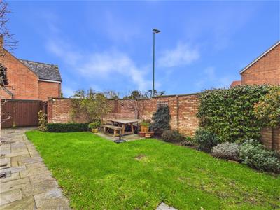 Picture 20